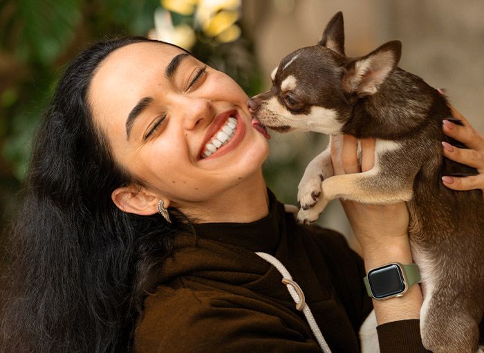 Perro chihuahua besando a su dueño