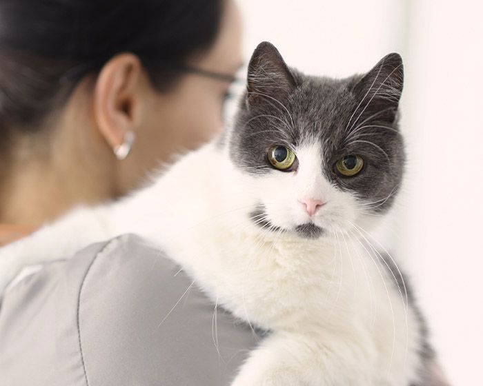 Veterinaria sosteniendo un gato en brazos