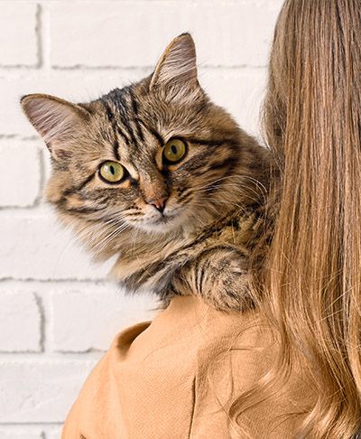 Mujer sosteniendo un gato sobre su hombro